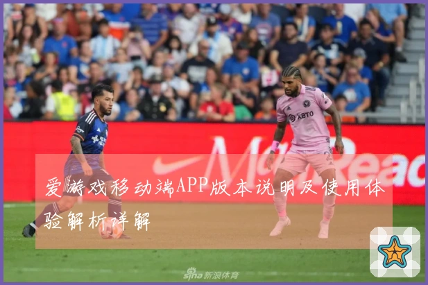 爱游戏移动端APP版本说明及使用体验解析详解