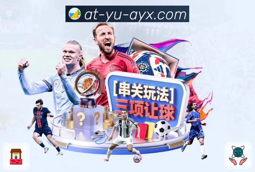 安装指引 - 下载、更新与常见问题